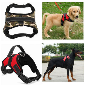 Duty Dog Pet Harness Collar