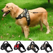 Load image into Gallery viewer, Duty Dog Pet Harness Collar
