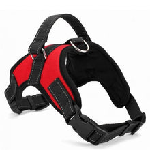 Load image into Gallery viewer, Duty Dog Pet Harness Collar
