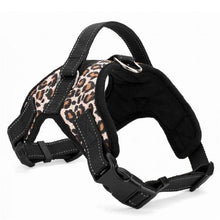 Load image into Gallery viewer, Duty Dog Pet Harness Collar
